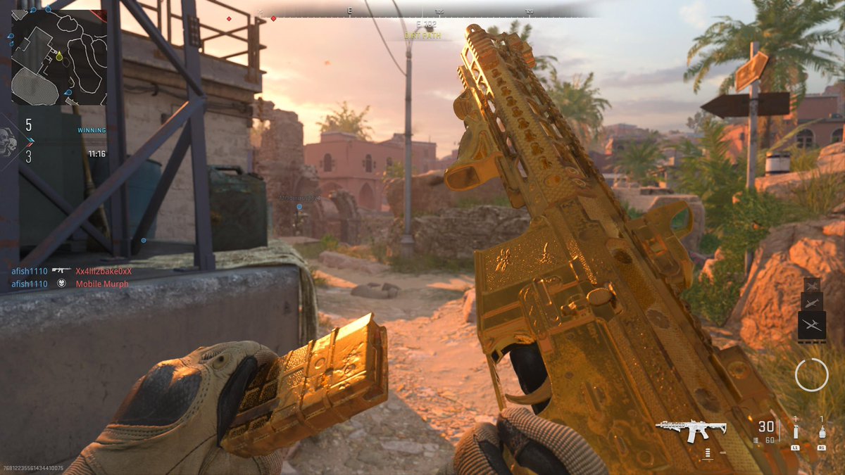 Zayflo_'s tweet photo. #MWII gold camo is so clean. Platinum next https://t.co/pEpcEvS9gF