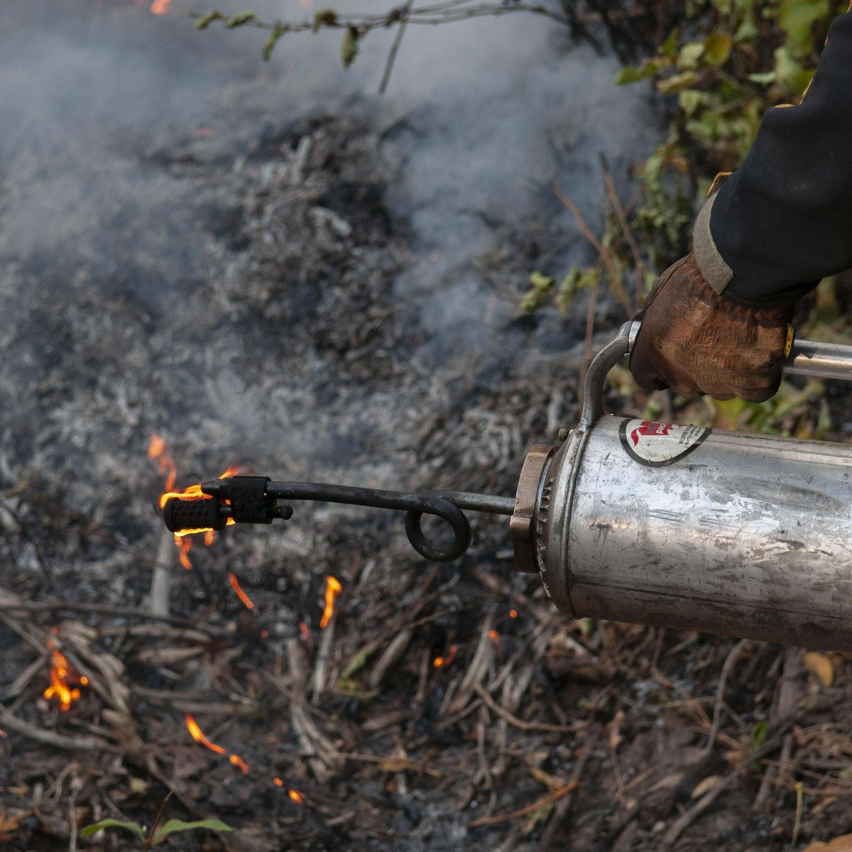 Do you play a role in implementing #rxfire? We need your voice in a new nat’l survey to better understand capacity and barriers for rxfire happening now. Learn more: ruralvoicescoalition.org/rxfiresurvey 📸Nikolaj Lasbo/TNC