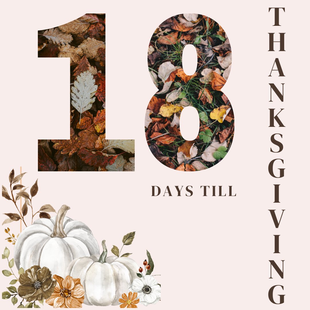 Today, we're grateful for senior pets! November is Adopt a Senior Pet month, and <a href="/MuncieACS/">Muncie Animal Care & Services</a>  has lots of lovable older dogs and cats ready for a forever home. Puppies and kittens are adorable, but adult animals are usually mellow, well-trained, and ready for years of love!