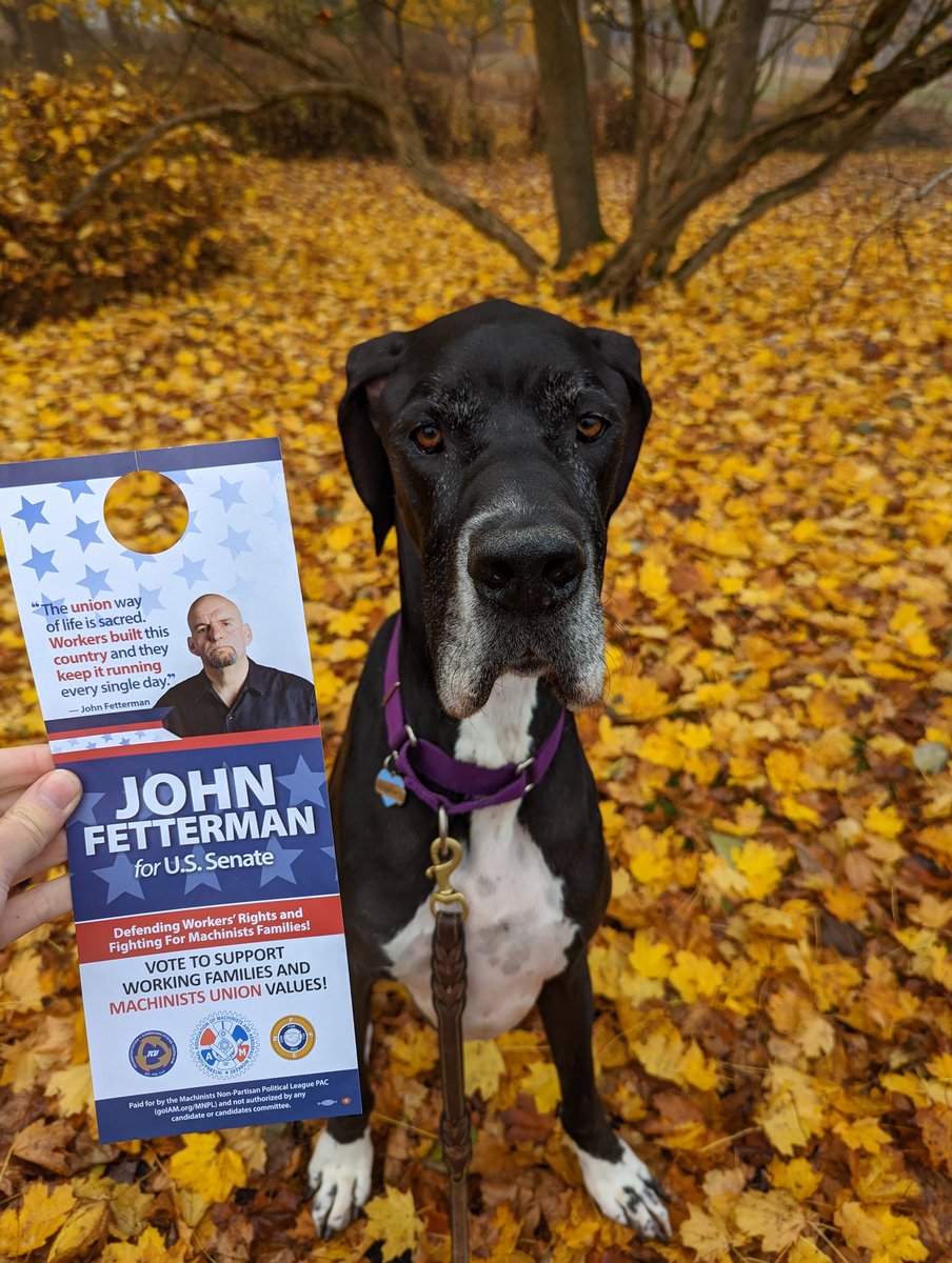 TheNotoriouzANG's tweet photo. Shaq is with me in our home town of Pittsburgh today (looking very serious) with 2 pieces of advice for PA union members:
1. VOTE 
2. Vote for Pro-Labor Candidates!

Labor rights are on the ballot! 🗳️☑️⚙️💪 #UnionDogs #IAMStandingStrong #IAMVoting https://t.co/wjJE47Fz7Q