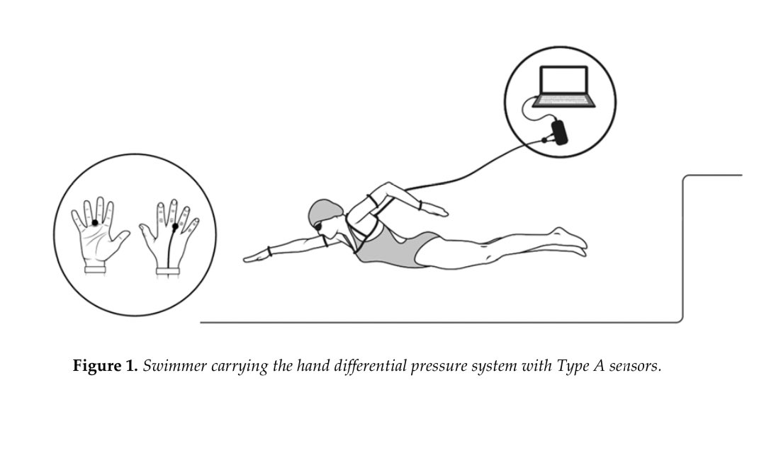 catamscsantos's tweet photo. 🚨📄: The Mechanical and Efficiency Constraints when Swimming Front Crawl with the Aquanex System 🏊🏼‍♀️🏊‍♂️
https://t.co/92n9pdhJBv https://t.co/kzd8EXhdIH