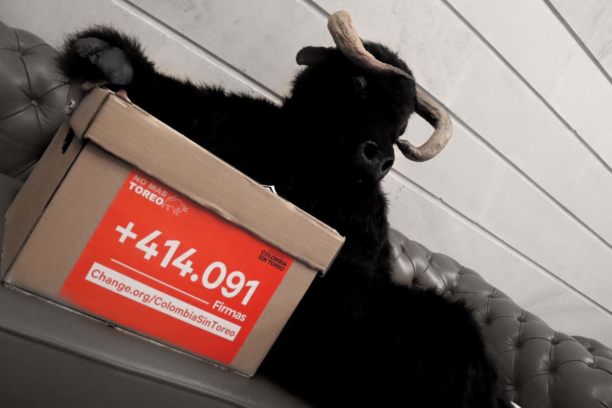 Lili Rodríguez 🌻💜💚 tweet media