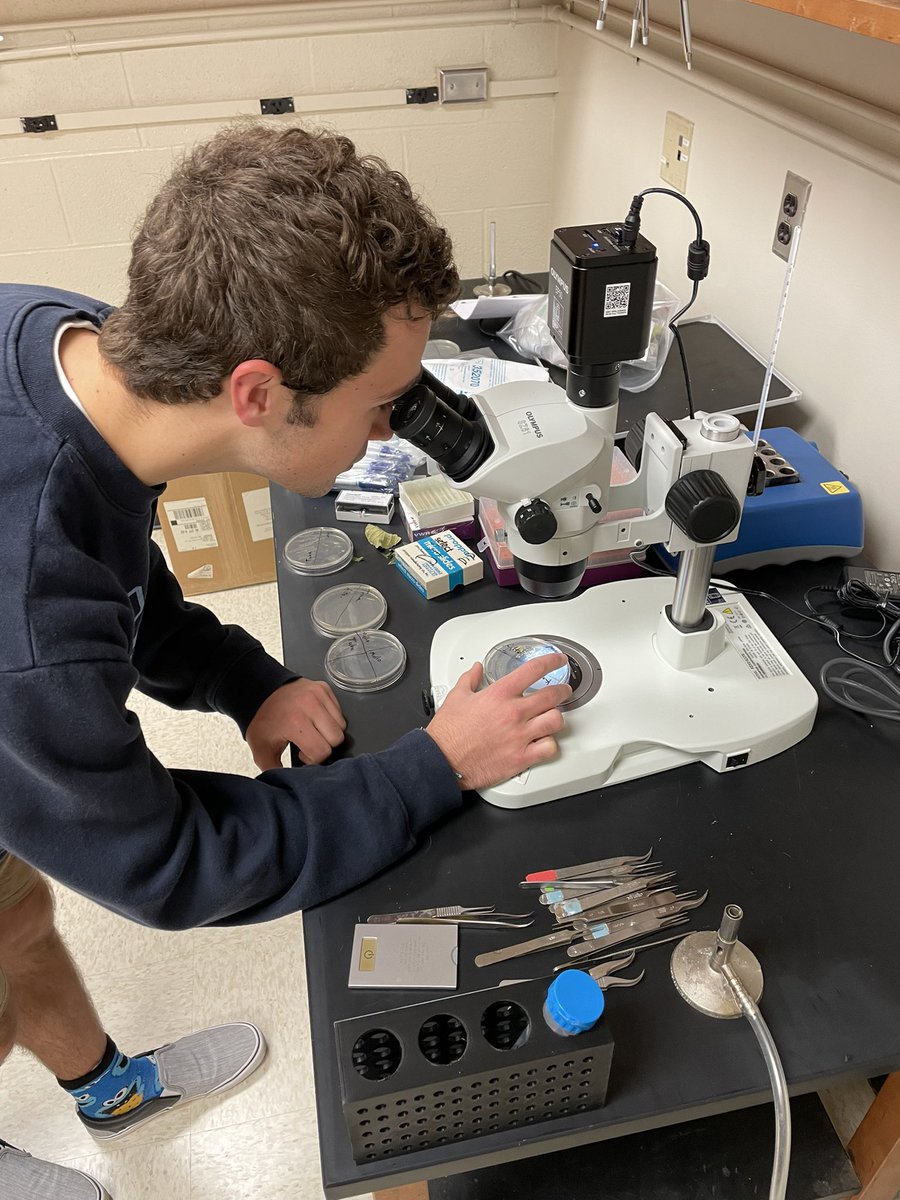 UNCCBERLab's tweet photo. We have our first official experiment going! What exactly is growing in the UNC travel band instruments… we’ll know soon enough! @UNC_Biology #inquirydrivenlabs #undergraduateresesrch https://t.co/zmKTK73MEN