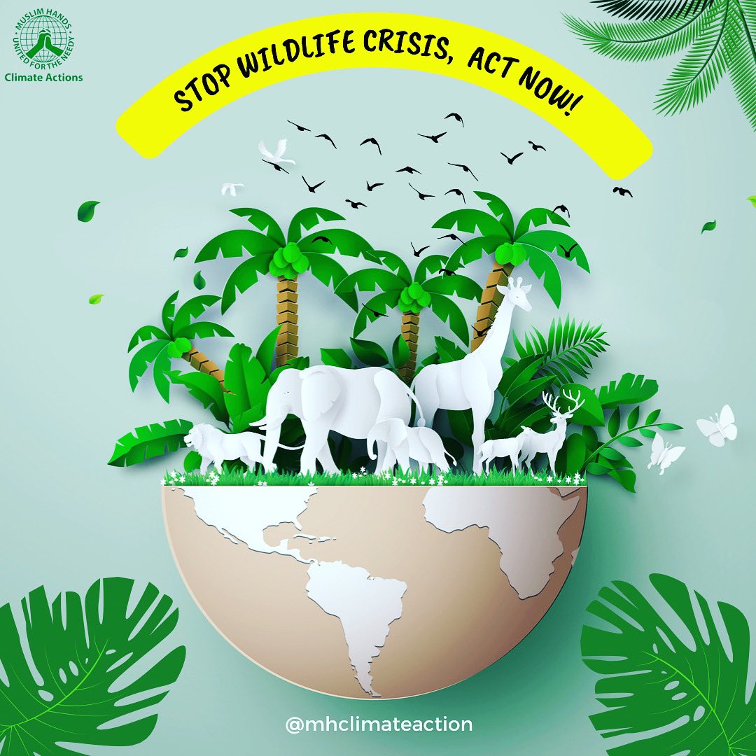 mhclimateaction's tweet photo. Stop wildlife crisis, act now.🌏
Humans are behind the current rate of extinction, which is at least 100-1,000 times faster than nature would expect.
#saveanimalslife #TogetherForImplementation #COP27 #biodiversityday #climateactionpk #animalswelfare #muslimhands https://t.co/Vejn511Y1W