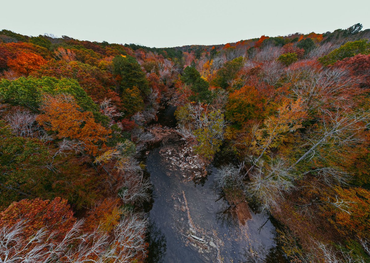 Swannickson's tweet photo. @aliwonderlandz Hey! It might be November, but the fall colors are still in full swing here! https://t.co/Sii7jvhYGW