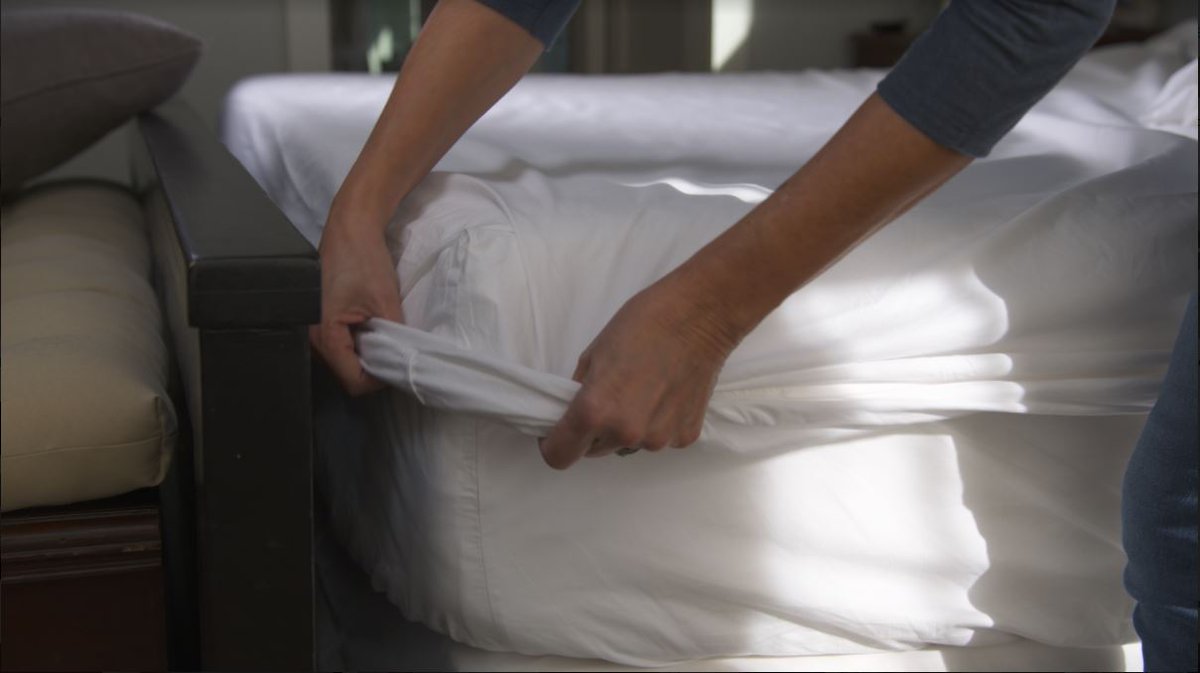 ToestySheets tweet picture