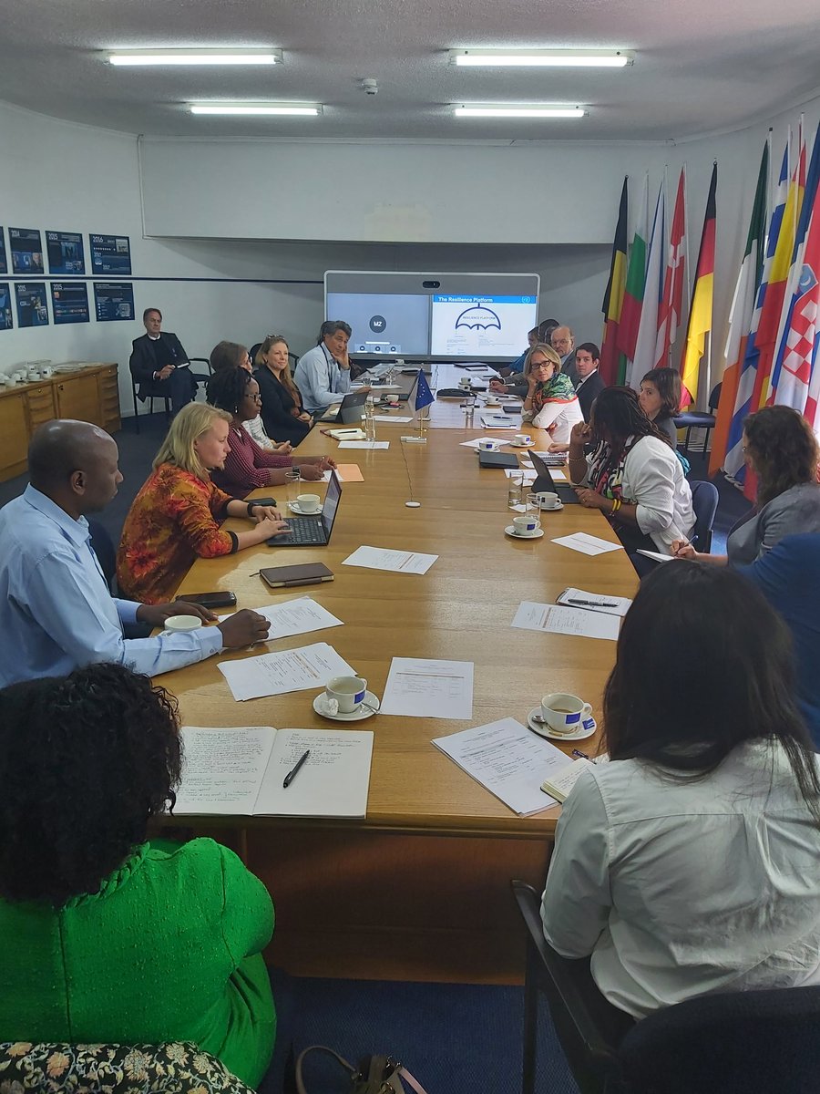 #partnershipsforthegoals Development partners with @UNZimbabwe in 🇿🇼 discuss ramping up coordination, partnerships & innovation to build #resilience of vulnerable communities and households #forpeopleforplanet