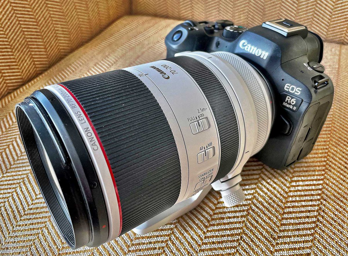 ImageCreatorsNW's tweet photo. Canon just unveiled the R6 Mark II. We tested out this fast and affordable full frame camera in San Diego. Here's what we thought. https://t.co/xvfABDYzke https://t.co/2ccQt22bQj