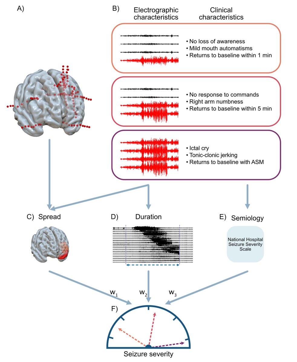 Akash Pattnaik (@akashrpattnaik) on Twitter photo 🚨🚨new preprint!!🚨🚨: A quantitative tool for seizure severity: diagnostic and therapeutic applications
medrxiv.org/content/10.110…
We combine iEEG and semiology + clinical validation!
w/ @ojemannw <a href="/bscheid/">Brittany H. Scheid</a> <a href="/bernabei_john/">John Bernabei</a> @katedavis12341 <a href="/_Nishant_Sinha/">Nishant Sinha</a> <a href="/BrianLitt2/">Brian Litt</a> & others! 🚨🚨new preprint!!🚨🚨: A quantitative tool for seizure severity: diagnostic and therapeutic applications
medrxiv.org/content/10.110…
We combine iEEG and semiology + clinical validation!
w/ @ojemannw <a href="/bscheid/">Brittany H. Scheid</a> <a href="/bernabei_john/">John Bernabei</a> @katedavis12341 <a href="/_Nishant_Sinha/">Nishant Sinha</a> <a href="/BrianLitt2/">Brian Litt</a> & others!