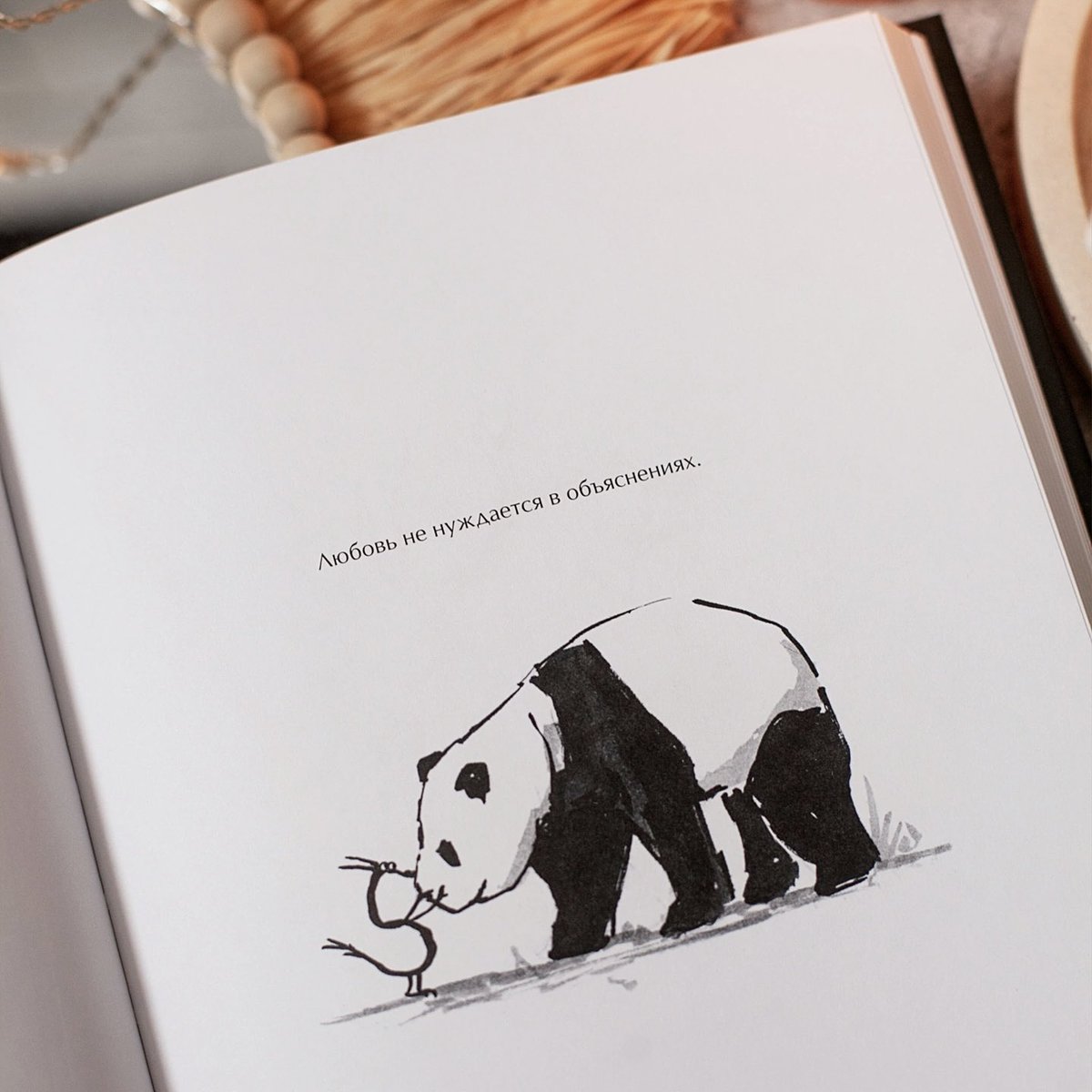 Панда и дракон книга. Большая Панда и маленький дракон книга. Издательство миф.