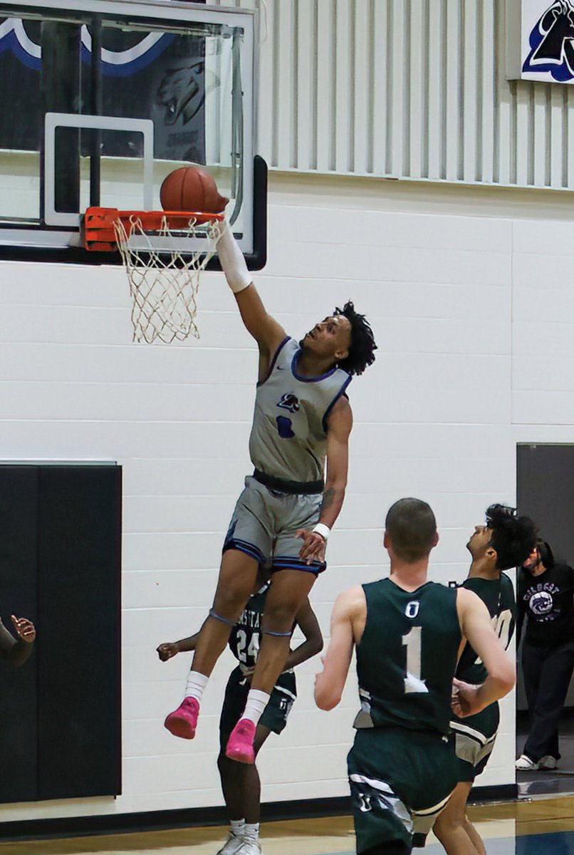 Lamar CC Basketball tweet media