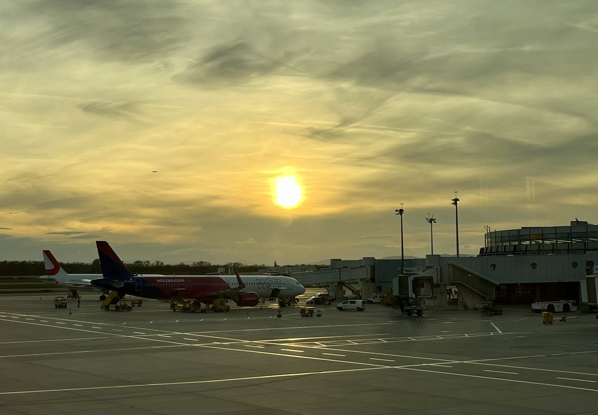 Ivana Brekalo tweet media