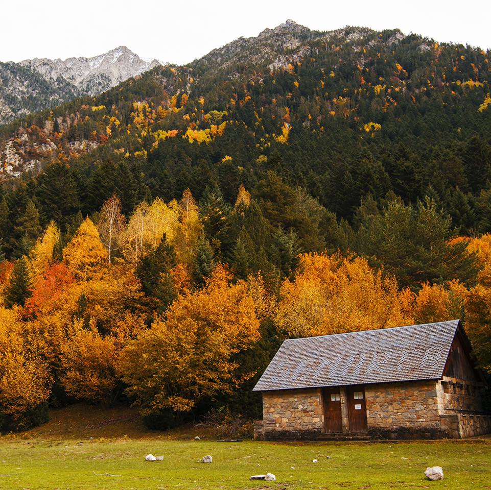 Huesca_LaMagia's tweet photo. La Magia del #otoño lo invade todo en el #valle de #Benasque 🏔🌲🤎🍁🍂. Visita obligada e inolvidable para este otoño 😍.

#huescalamagia #visitspain #turismohuesca #Huesca #huescaturismo #pirineos #escapada #otoño https://t.co/jsfXhU7KSv