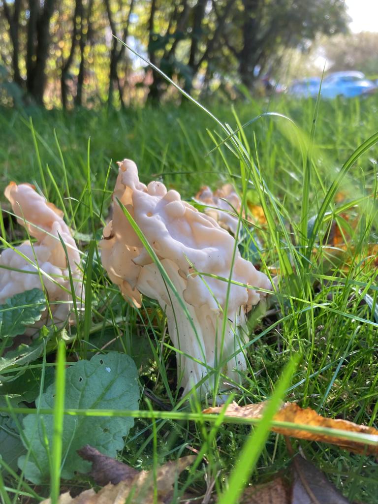 T was een hele kluif