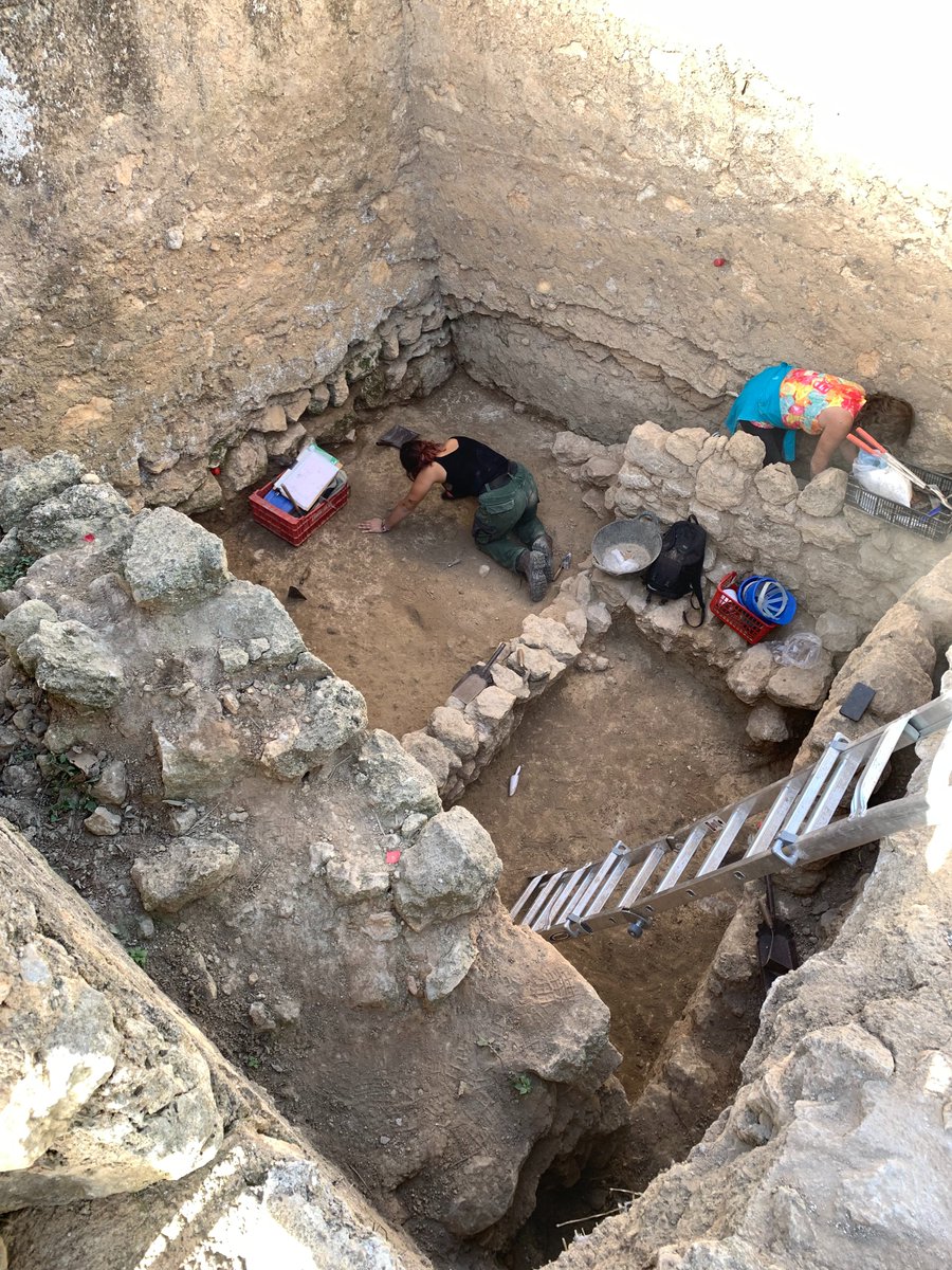 ⛏️ El passat divendres 28 d’octubre, i després d’uns anys de sorpreses i dificultats, es va donar per finalitzada l’excavació de la torre 2 de la muralla del #MACOlèrdola, emmarcada en el projecte #FROL.
