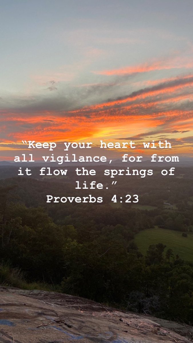 BC-Alliance (@bcalliance_) on Twitter photo 