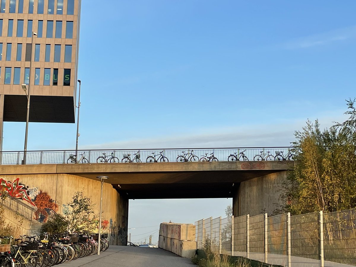 Fahrräder glotzen aus Eulengesichtern
von der Brücke oben auf mich herunter.
Bespähen mich, ohne mich richtig zu sehen.
Ich husche davon - lebendig und munter.