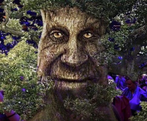 Wise mystical tree has seen the state of you bunch, your unbridled libidal  chaos. He is fed up. No more wisdom. : r/teenagers