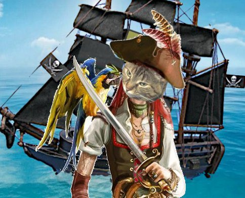 cat_carmela's tweet photo. Meow is ready fur me close up MrWuggums! #MrWuggumsExtras dis me in pirate gear! https://t.co/HSZxlvRxOh