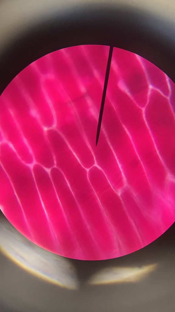 harrisphysics tweet media