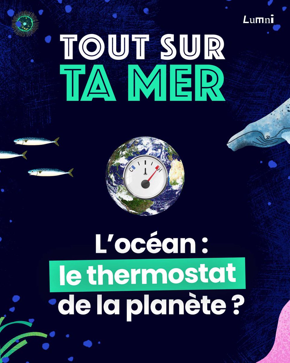 lumnifr's tweet photo. 🌊 🌡 Régulateur du #Climat, producteur d’oxygène, fournisseur d’aliments, l’océan tient un poste-clé dans le maintien de la vie sur #Terre.
On vous en parle sur #Lumni dans notre nouvelle série #ToutSurTaMer 👉https://t.co/6MytcupGHI
@PlaneteNAUSICAA @TaraOcean_ #COP27 #Océans https://t.co/B8x79XijQz