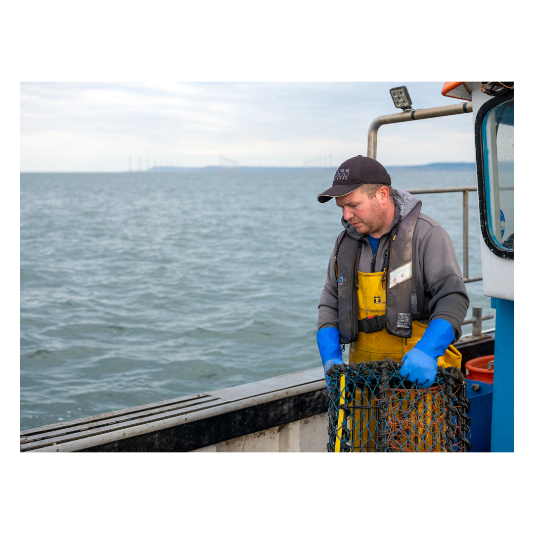tessabunney's tweet photo. I’m delighted to be awarded the  @The_RPS @photographic1 Environmental Bursary 2023 to continue my work with fishermen on the Teesside and Yorkshire coastline following the devastating wash-up of crabs and lobsters on which their livelihoods depends. https://t.co/B8pQb3aXan