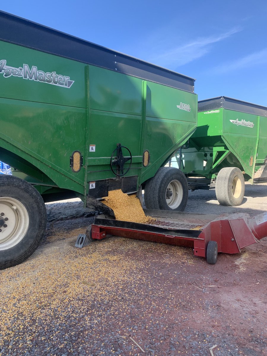 My grandfather always said “ you get so many good weather days and so many bad days in a year “. Harvesting in November like this tells me we’re screwed this winter 🥶