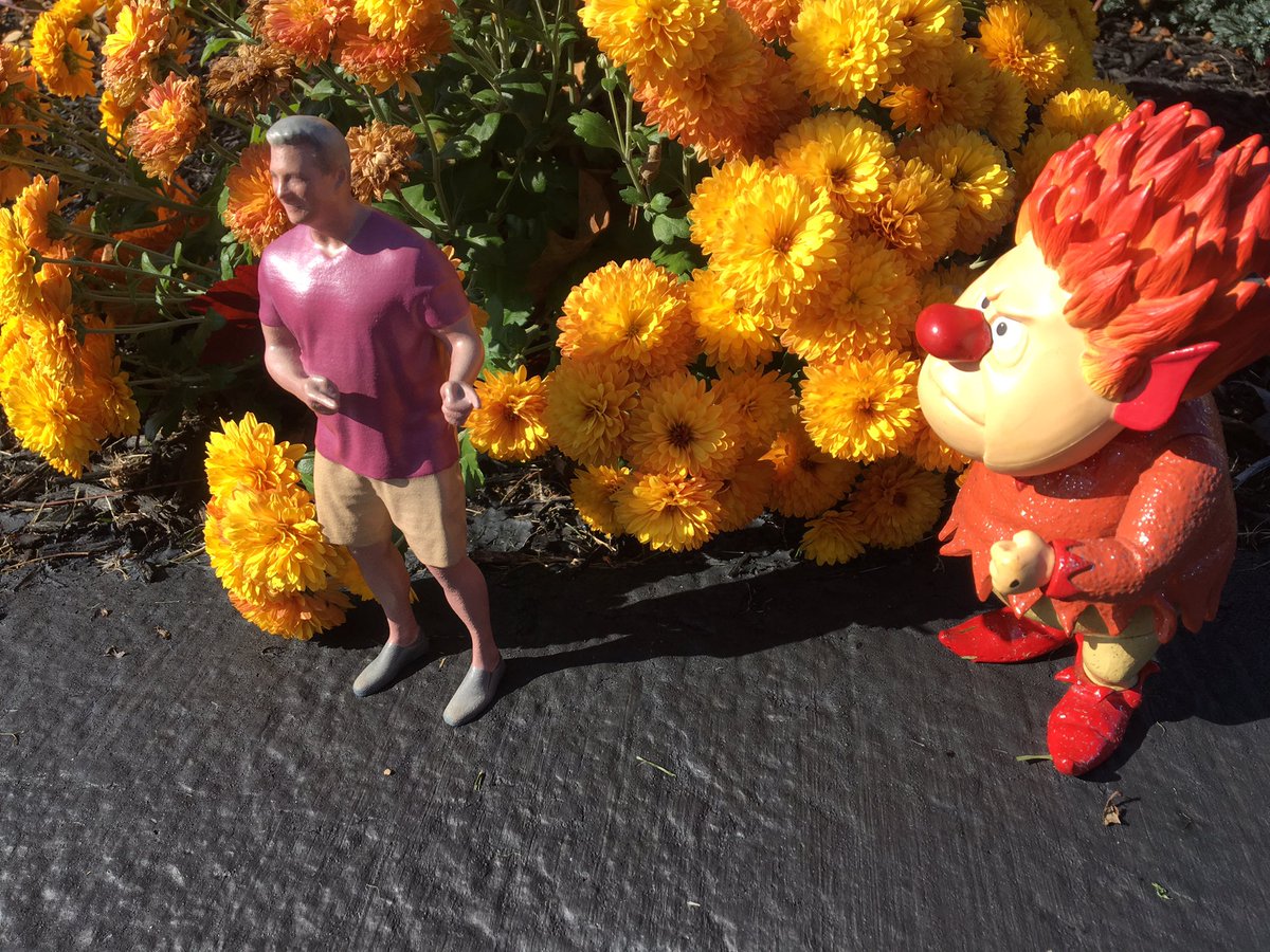 TOMRUSSELLCBS21's tweet photo. With Weather this nice, Lil' Tom Summer Edition has to make an appearance. Along with the guy responsible. #WarmFall https://t.co/tEj4PO9NSh