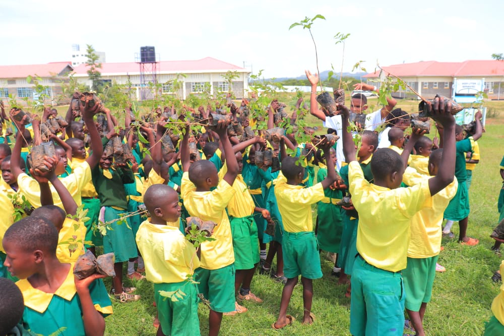 Karasinga tweet media