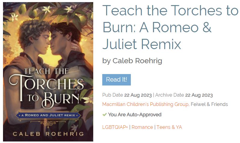 Teach the Torches to Burn: A Romeo & Juliet Remix