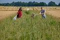 Nick Haddad (@nickmhaddad) on Twitter photo We have great summer research and class opportunities for undergraduates <a href="/KelloggBioStn/">W.K. Kellogg Biological Station</a> REUs, assistants, and more! Apply by Feb. 1 kbs.msu.edu/education/unde… <a href="/sciroy/">Sarah Roy</a> <a href="/KBSLTER/">Kellogg Biological Station LTER</a> <a href="/kbsltar/">Kellogg Biological Station LTAR</a> We have great summer research and class opportunities for undergraduates <a href="/KelloggBioStn/">W.K. Kellogg Biological Station</a> REUs, assistants, and more! Apply by Feb. 1 kbs.msu.edu/education/unde… <a href="/sciroy/">Sarah Roy</a> <a href="/KBSLTER/">Kellogg Biological Station LTER</a> <a href="/kbsltar/">Kellogg Biological Station LTAR</a>
