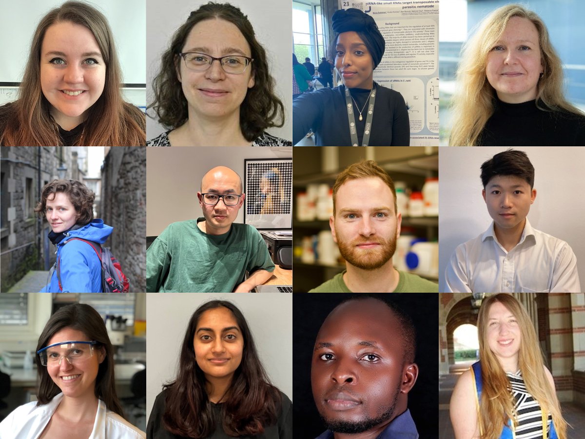 In this TrendsTalk, 12 young scientists &amp; ECRs highlight the 2022 #HydraHelminths meeting. <a href="/CaitlinMMcManus/">Dr Caitlin McManus</a> <a href="/tiffanyBouchery/">tiffany smith</a> <a href="/monaaaa_10/">Monaaaaa ☘️</a> @akildemoes <a href="/Conorisco/">Conor Finlay</a> <a href="/RyanHChan/">Ryan Chan</a> <a href="/GyavN/">Gyaviira Nkurunungi 🇺🇬👨🏾‍🔬</a> #HydraHelminths <a href="/amyhbuck/">Amy Buck</a> @RealJimCollins1 <a href="/MaizelsLab/">Maizels Lab</a> <a href="/herminthology/">Herminthology</a> 

cell.com/trends/parasit…