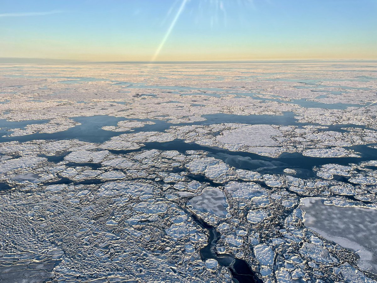 Maddie Smith (she/her) tweet media