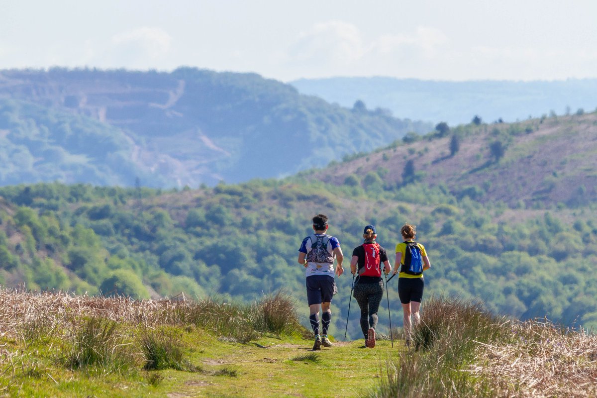 Looking for your next #WILDFundraiser challenge? 🏃 @RidgeRunners3 organise races with nature in mind! Their next event is coming up on Sat 26th November. All profits raised by their races are donated to charity, including the WTSWW! 🦡 👉Find out more: ridgerunners.co.uk