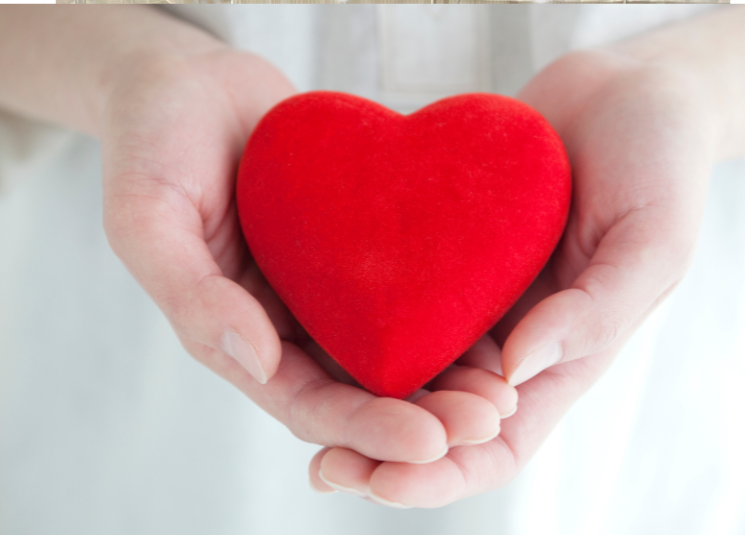 CrozerHealth's tweet photo. During National Home Care and Hospice Month, we thank our home care and hospice team for providing high-quality, compassionate care to our patients in the comfort of their home.  We appreciate you! 
#Crozer-KeystoneHospice  #Crozer-KeystoneHomeCare  #CrozerHealth https://t.co/vArXhRMCuz