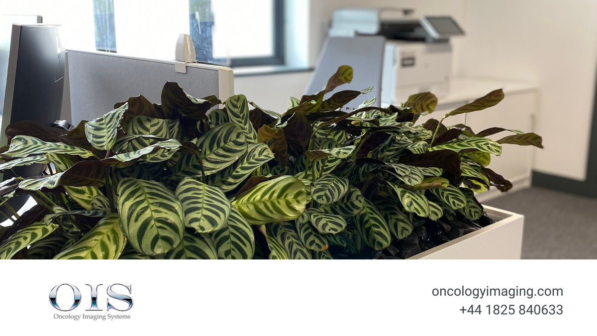 It's #NationalStressAwarenessDay so we thought we'd share some of the ways that we combat workplace stress:

✅ Encourage flexible working
😊 Benefit from a supportive team
📞 Have access to a confidential support line via our EAP
🪴 Incorporate biophilic design in our workspaces