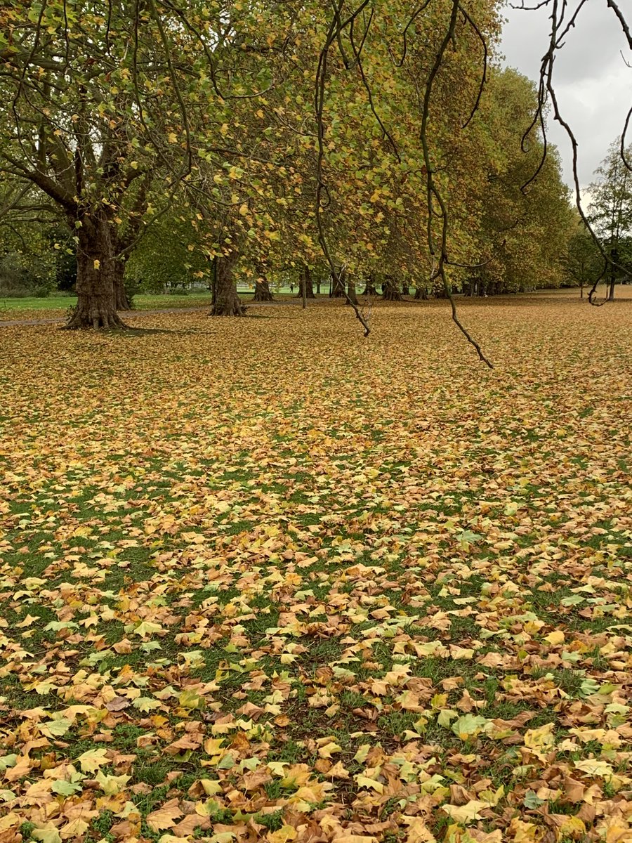 Autumn is here!