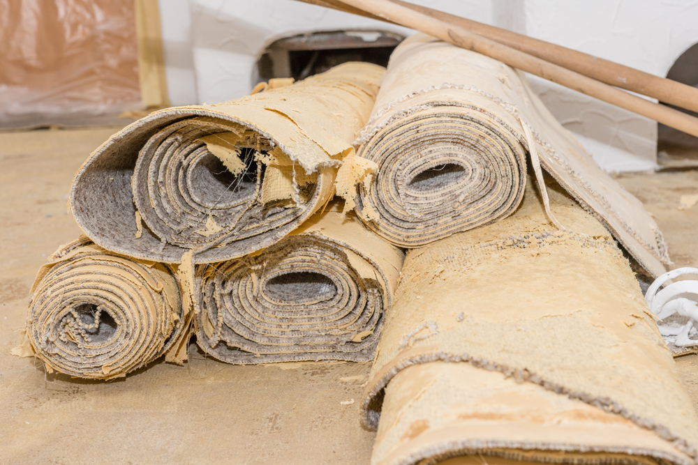 Carpets and rugs can provide a pleasant feeling of coziness to your home. However, carpets and rugs have one issue, they are one of the biggest contributors to toxin exposure in the home. 

Read more....

blog.drimasters.net/?p=5027
