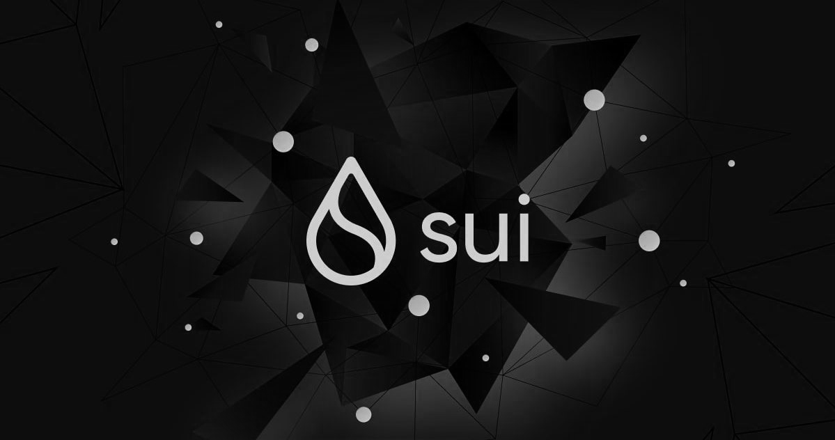 Miss the $APT airdrop hype $$?

I took it upon myself to research Sui for 24 hours so you don't have to.

Everything you need to know from airdrops to the platform itself (in under 5 minutes). 👇