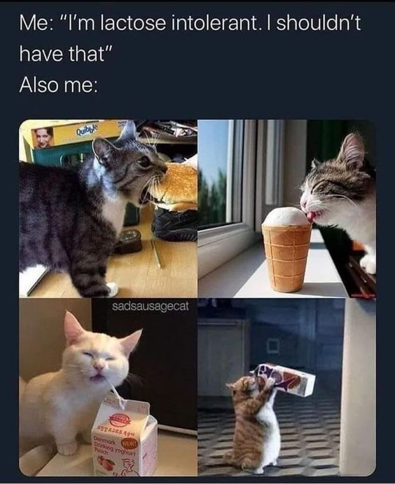 WholesomeMemes (@wholesomememe) on Twitter photo 