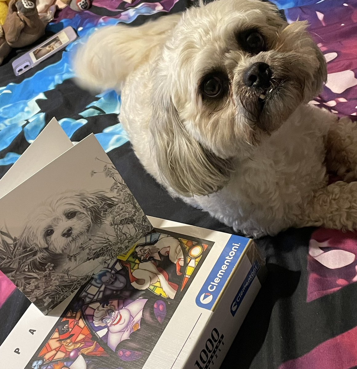 Thank you so much to my SB @allsaintsccduk for my amazing surprise this morning. Winston is very impressed with the card 🥰