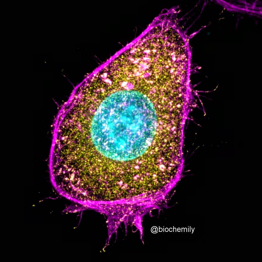 Emily Richardson tweet media