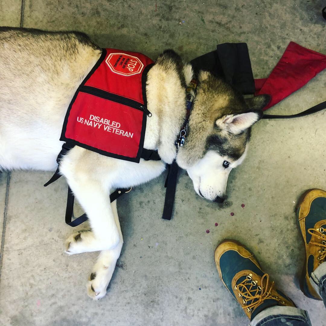 We invite all veterans + active members to join us for Veterans Art Day! Join us at the Indianapolis Art Center on November 12 from 9:30 am-3:30 pm, and get creative with fellow present + former armed forces members. Sign up now by calling our guest services team at 317.255.2464.