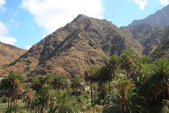 Stat2Adrax's tweet photo. Adriàs est la plus belle région du monde ! 🌴🌟 #Listenbourg https://t.co/UfFYuysodD