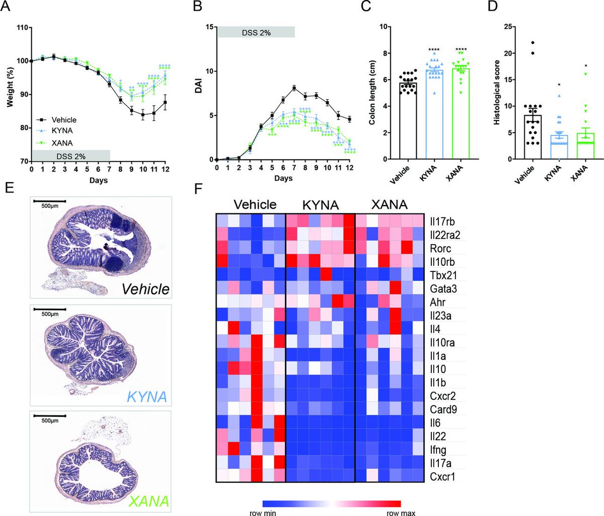 #GUTLatest paper on "Rewiring the altered tryptophan metabolism as a novel therapeutic strategy in inflammatory bowel diseases" via

bit.ly/3Sv2CUE

<a href="/ChloeMichaudel/">Chloé Michaudel</a>, <a href="/J_Kirchgesner/">Julien Kirchgesner</a>, <a href="/h_sokol/">Harry Sokol</a> #IBD #Tryptophan