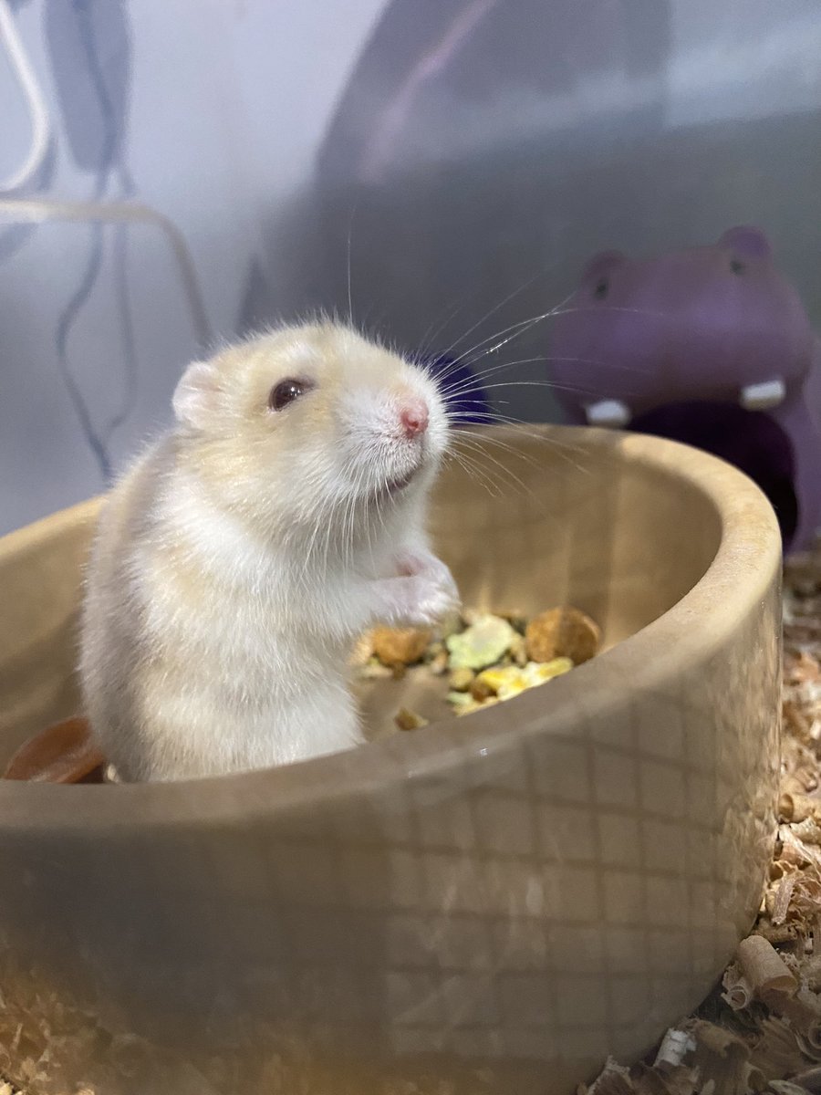 𝕂𝕖𝕝𝕝𝕤🦈 tweet media