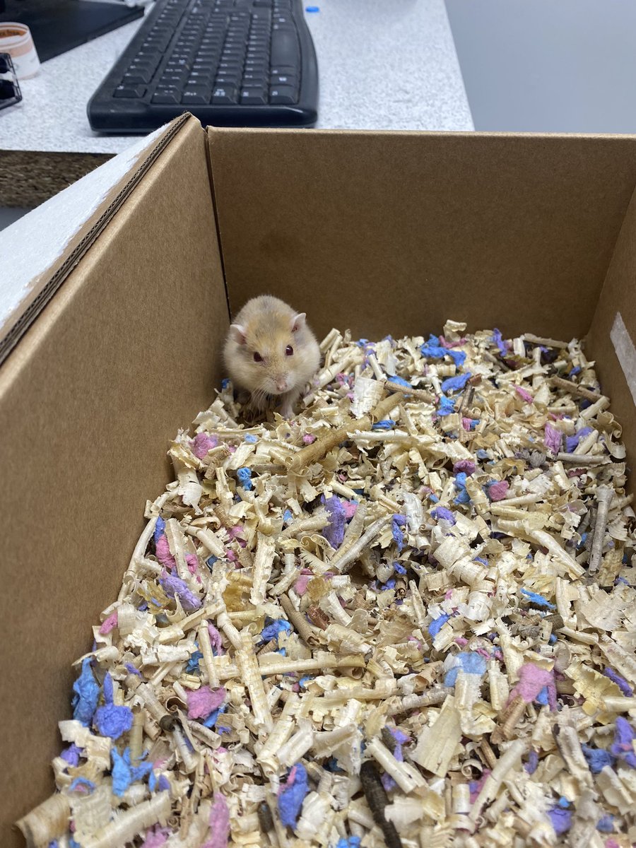 𝕂𝕖𝕝𝕝𝕤🦈 tweet media