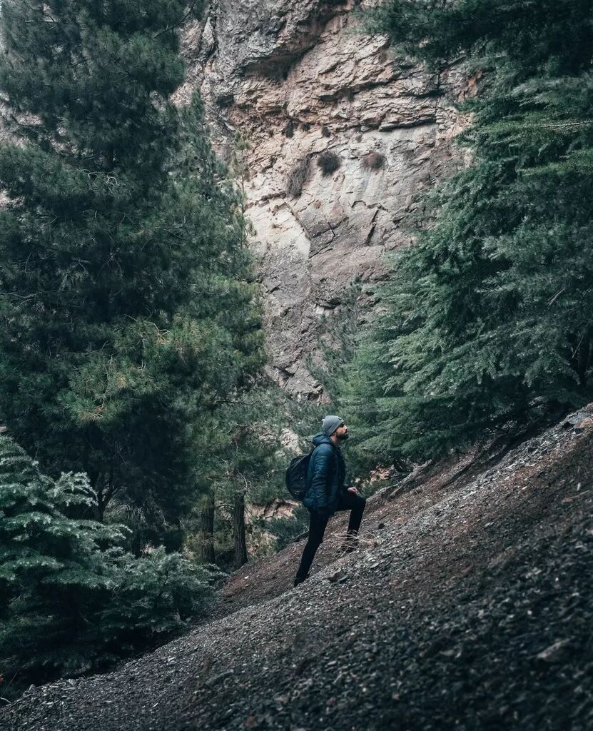 SISUwatch's tweet photo. Ascending 📈  #SISUWatches https://t.co/mroJ8zbgN0 https://t.co/mhoKhHDWdl