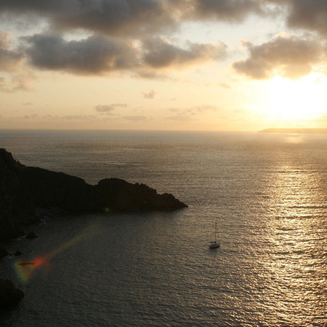 Packing our bags 👜 and going to explore the New Forest this November. 🐎🍂

Meet you at Elmers Court? 📍

Book direct for 10% off before Thursday: bit.ly/3gv9MLi