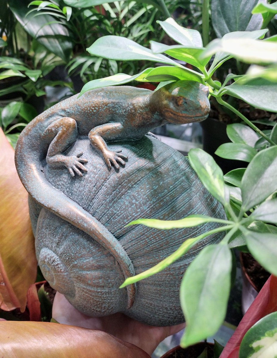 GardenGeeksUK's tweet photo. How cute is this little guy?
Lots of new ornaments and geeky gardening gifts in store!

#gardengeeks #truro #cornwall #shoplocal #gardening #lizard #giftideas #plantlovers https://t.co/Es10drouP6